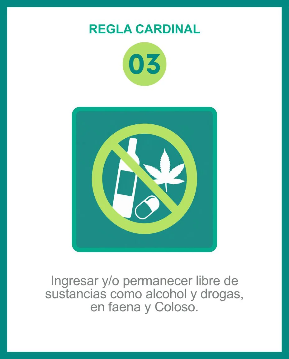 Regla 03: Libre de alcohol y drogas